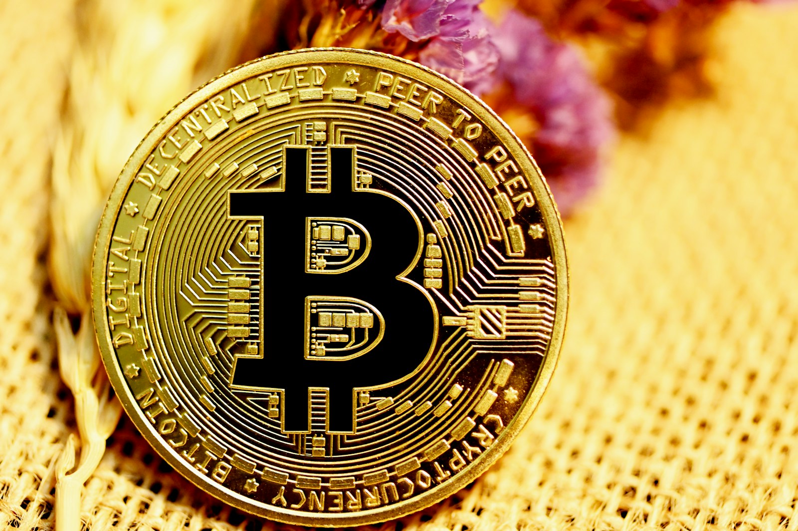 How to Monitor Crypto Portfolio - Complete Guide 2025